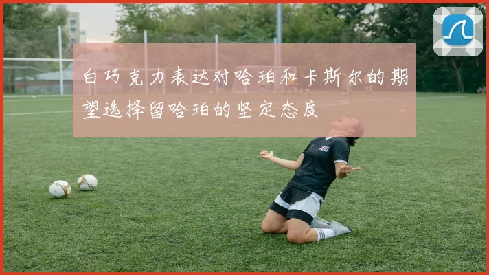 白巧克力表达对哈珀和卡斯尔的期望选择留哈珀的坚定态度