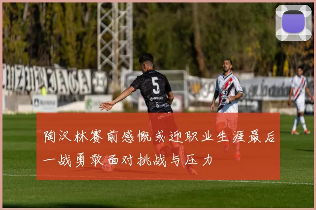 陶汉林赛前感慨或迎职业生涯最后一战勇敢面对挑战与压力
